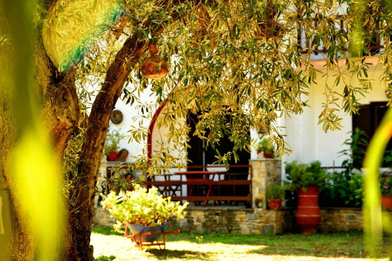 Spiros Rooms Panormos  Zewnętrze zdjęcie